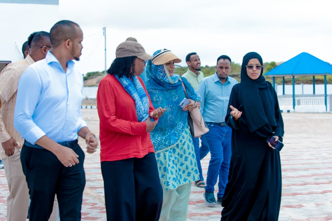 Strategic Engagement with Development Partners